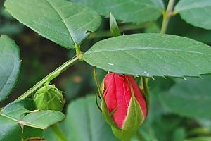 副业怎样选择,不影响工作还能有额外的收入