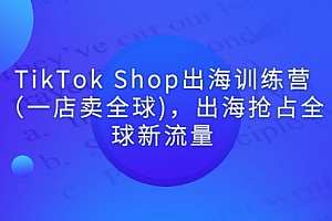 【副业项目3345期】tiktok电商怎么做(TikTok Shop出海训练营课程教你抖音跨境电商怎么做)