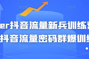 【副业项目3371期】破解抖音流量密码新人训练营(新人抖音怎么获取流量)