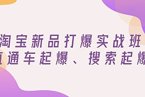 【副业项目3372期】淘宝新品打爆实战班(淘宝店铺如何增加流量和访客)