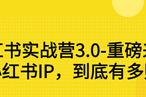 【副业项目3415期】小红书个人号运营实战课:做好小红书IP,到底有多赚钱?(价值7999元)