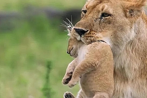 做生意就是研究人性(产品卖爆的终极密码)