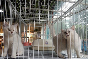 以后越来越赚钱的几个小生意,女生一定要看(适合女生做的生意)