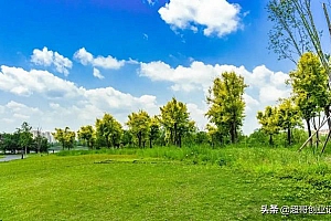 自媒体公司老板分享做自媒体的秘籍(做自媒体怎么月收入过万)