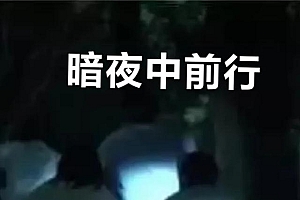 做自媒体为什么新号流量大(自媒体作品为什么限流)