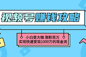 【副业项目3549期】怎么通过视频号赚钱(视频号赚钱详细教程攻略)