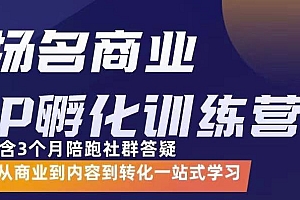 【副业项目3580期】商业IP孵化训练营:从商业到内容到转化一站式学 ,教你怎样打造商业ip
