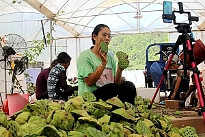 穷人创业好项目适合农村