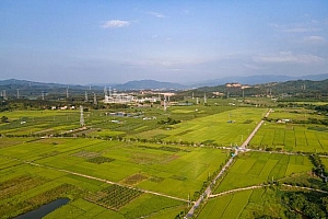 适合女孩子做的副业,关于副业的看法