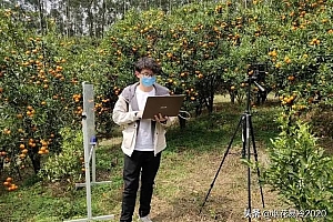 比较赚钱的生态农业项目有哪些