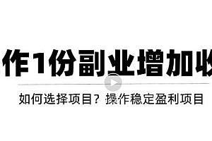 【副业项目3695期】新手如何通过操作副业增加收入,从项目选择到玩法分享!【视频教程】