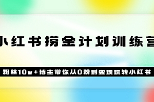 【副业项目3720期】小红书赚钱训练营:粉丝10w+博主带你从0粉到变现玩转小红书