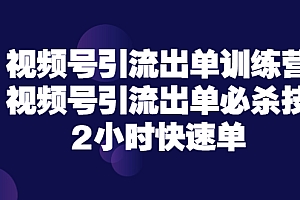 【副业项目3805期】视频号引流出单训练营,视频号引流技巧,2小时快速单