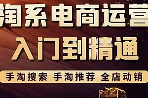 【副业项目3822期】淘系电商入门到精通:手淘搜索,手淘推荐,全店动销