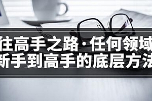 【副业项目3829期】粥左罗<通往高手之路·任何领域从新手到高手的底层方法>,如何成为一个领域的高手