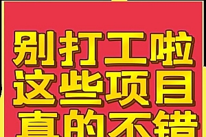 比打工强的小生意,农村小项目有哪些
