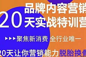 【副业项目3899期】《内容营销实操特训营》20天让你营销能力脱胎换骨(价值3999)