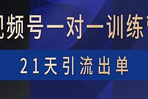【副业项目4068期】视频号训练营:带货,涨粉,直播,游戏,四大变现新方向,21天引流出单