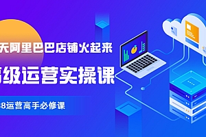 【副业项目4092期】90天阿里巴巴店铺火起来:高级运营实操课,1688运营高手必修课