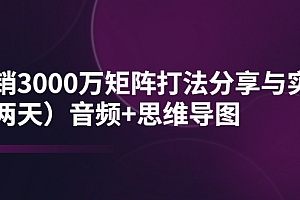 【副业项目4119期】某线下培训:月销3000万矩阵打法分享与实操(两天)音频+思维导图