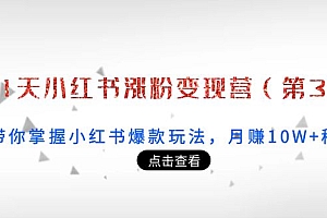 【副业项目4158期】21天小红书涨粉变现营(第3期):带你掌握小红书爆款玩法,月赚10W+秘密