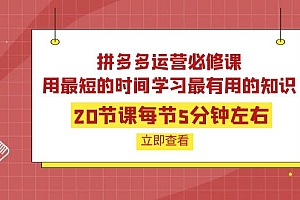 【副业项目4189期】拼多多运营必修课:20节课每节5分钟左右,用最短的时间学习最有用的知识