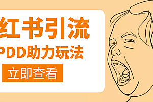 【副业项目4230期】利用小红书卖拼多多助力,日赚100+,顺便还能引个流【视频课程】