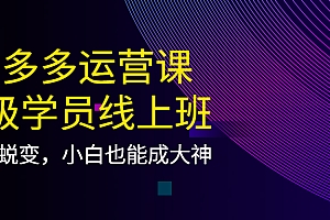 【副业项目4260期】拼多多运营课:超级学员线上班,21天蜕变,小白也能成大神