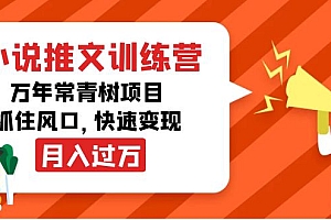 【副业项目4360期】小说推文训练营,万年常青树项目,抓住风口,快速变现月入过万