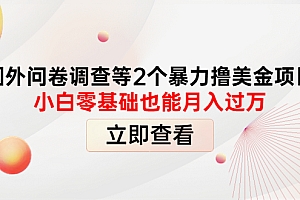 【副业项目4372期】国外问卷调查等2个暴力撸美金项目,小白零基础也能月入过万