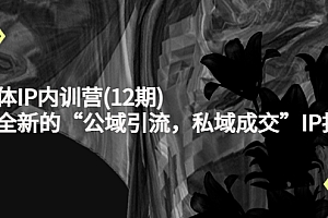 【副业项目4405期】新媒体IP内训营(12期):一套全新的“公域引流,私域成交”IP打法,直接带走