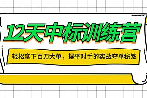 【副业项目4416期】12天中标训练营:轻松拿下百万大单,摆平对手的实战夺单秘笈