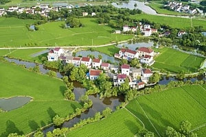 这6类项目在农村正成香馍馍?返乡创业摸准门路,年入百万不是梦农村商机好项目有哪些