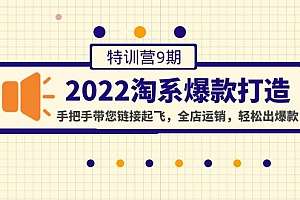 【副业项目4606期】2022淘系爆款打造特训营9期:手把手带您链接起飞,全店运销,轻松出爆款
