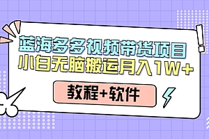 【副业项目4612期】人人都能操作的蓝海多多视频带货项目 小白无脑搬运月入10000+(教程+软件)
