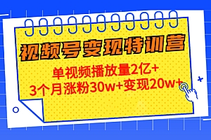 【副业项目4713期】20天视频号变现特训营:单视频播放量2亿+3个月涨粉30w+变现20w+