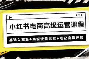 【副业项目4879期】小红书电商高级运营课程:基础入驻篇+商城流量运营+笔记流量运营