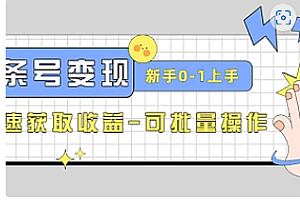 【副业项目4839期】2023头条号实操变现课:新手0-1轻松上手,快速获取收益-可批量操作