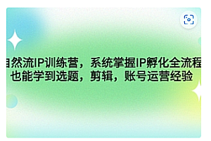 【副业项目4920期】自然流IP训练营,系统掌握IP孵化全流程,也能学到选题,剪辑,账号运营经验