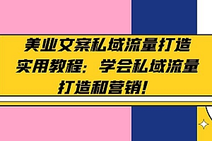 【副业项目5175期】美业文案私域流量打造实用教程:学会私域流量打造和营销
