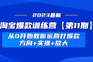 【副业项目5005期】淘宝爆款训练营【第11期】 从0开始教你运营打爆款,方向+实操+放大