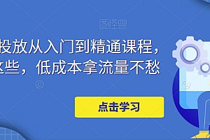 【副业项目5117期】万相台投放·新手到精通课程,学会这些,低成本拿流量不愁