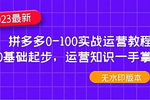 【副业项目5048期】2023拼多多0-100实战运营教程,0基础起步,运营知识一手掌握
