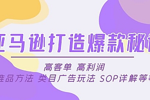 【副业项目5084期】亚马逊打造爆款秘诀:高客单 高利润 推品方法 类目广告玩法 SOP详解等等