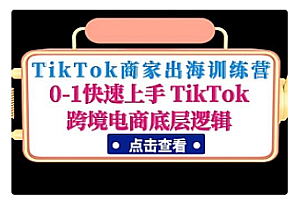 【副业项目5013期】TikTok商家出海训练营:0-1快速上手 TikTok跨境电商底层逻辑