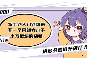 【副业项目5173期】拼多多虚拟开店打卡群:新手到入门到精通(昨日群里有小伙伴日入3000+)