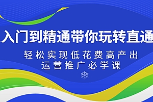 【副业项目5274期】从入门到精通带你玩转直通车:轻松实现低花费高产出,35节运营推广必学课