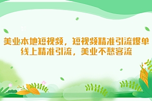 【副业项目5232期】美业本地短视频,短视频精准引流爆单,线上精准引流,美业不愁客流