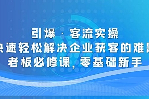 【副业项目5343期】引爆·客流实操:快速轻松解决企业获客的难题,老板必修课,零基础新手