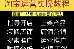 【副业项目5247期】2023淘宝开店教程0基础到高级全套视频网店电商运营培训教学课程(2月更新)